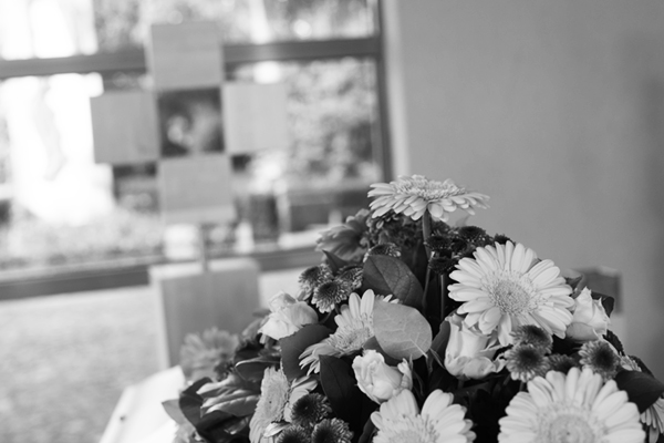 DSC_3327 DSC_3327